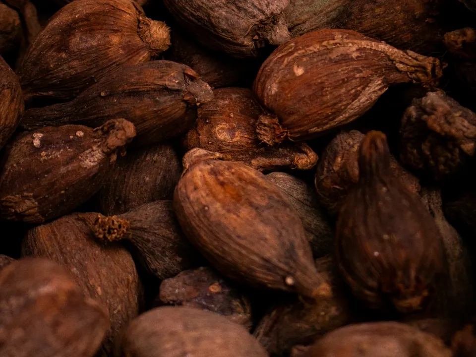 A close heap of dried cacao beans.